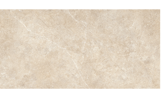 Feinsteinzeug beige 60 x 120 cm