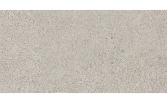 Feinsteinzeug grau 30 x 60 cm