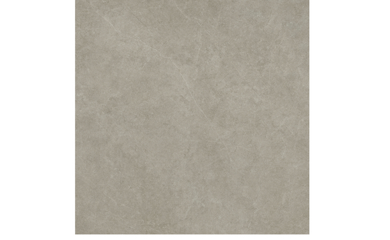 Feinsteinzeug grau 120 x 120 cm